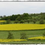 Garten-und Landschaftsbau Scherwinsky