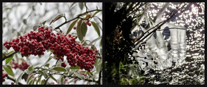 Ian Scherwinsky, Garten-und Landschaftsbau im Winter und bei Frost